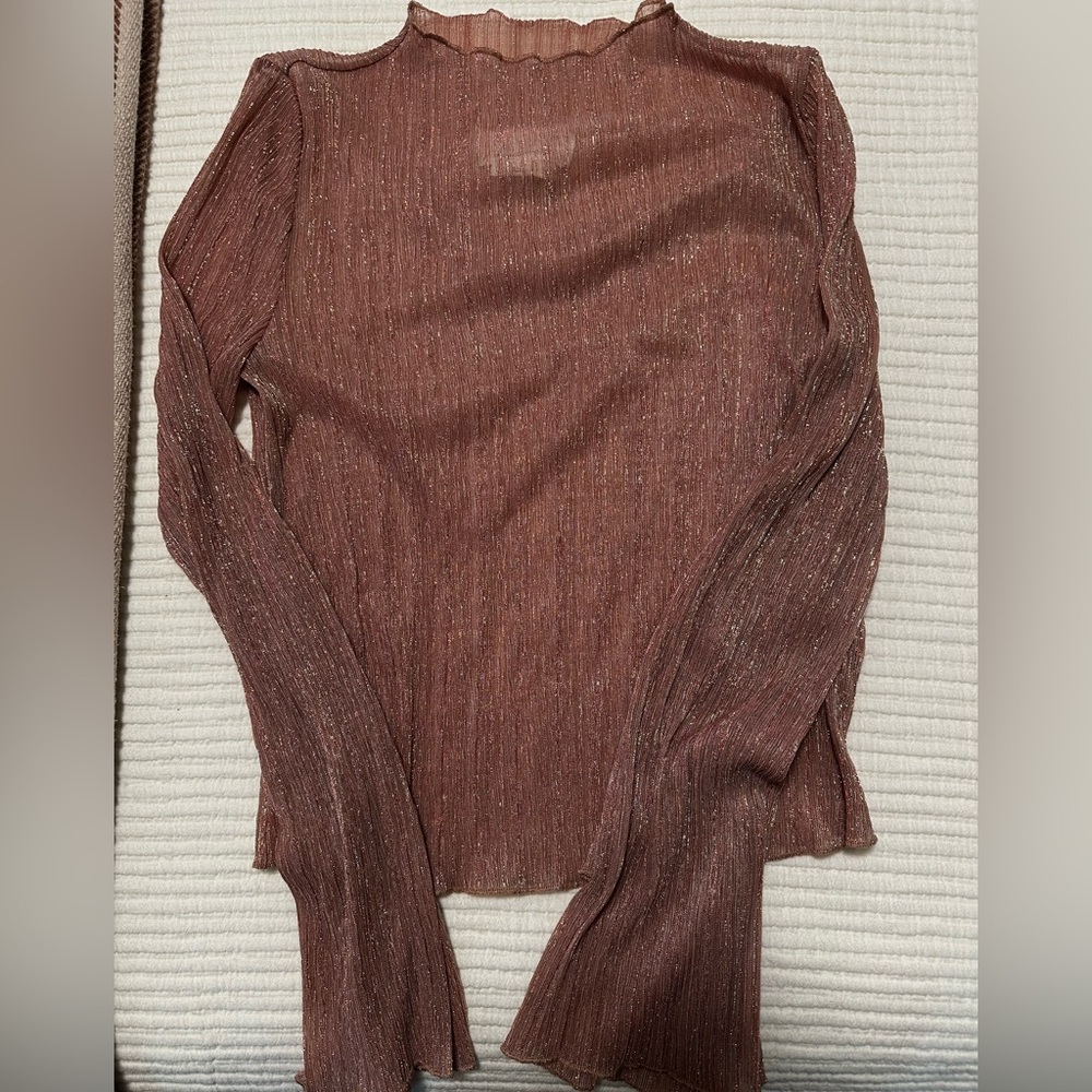 Long sleeve, sheer, mock neck metallic top.